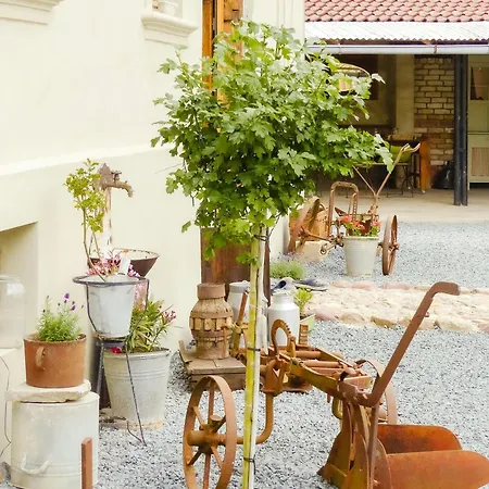 Experience 330-year-old In The Harz Ballenstedt