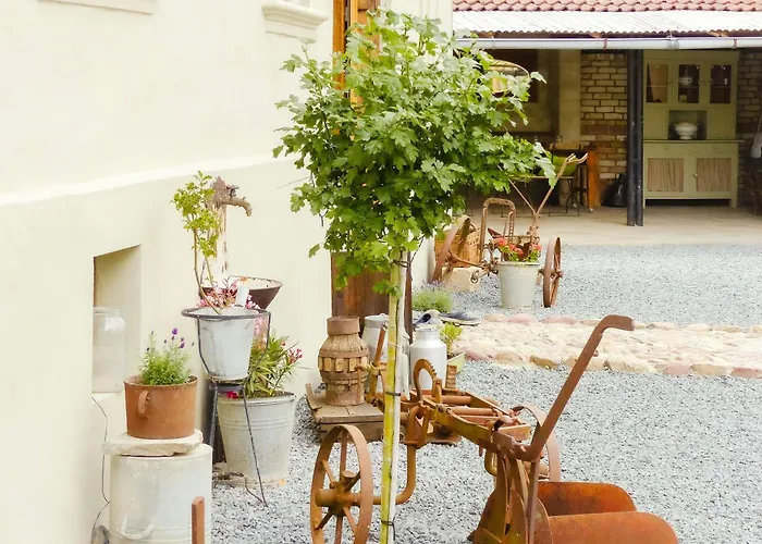 Experience 330-year-old In The Harz Ballenstedt